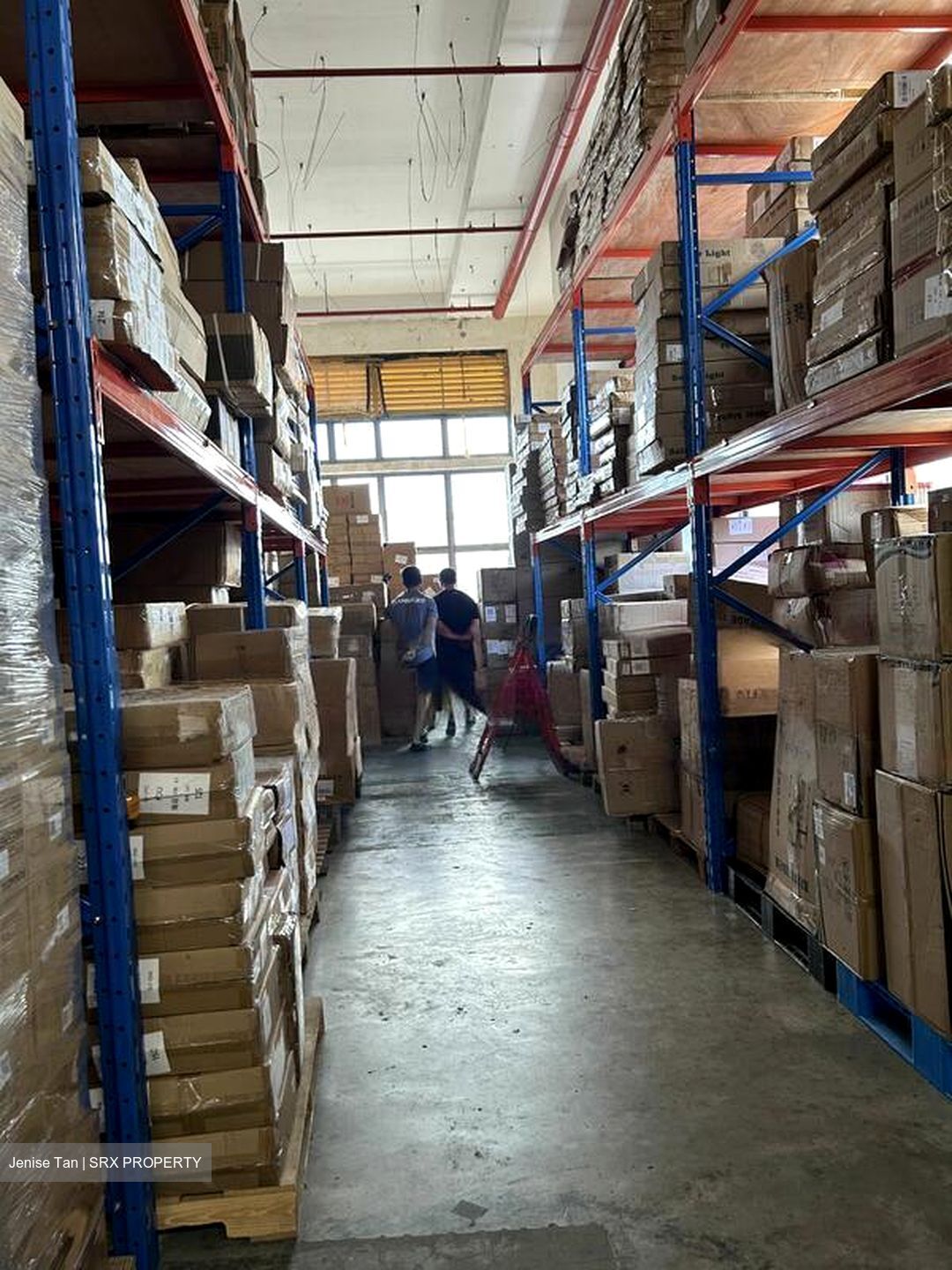 Woodlands Terrace (D25), Factory #464667721